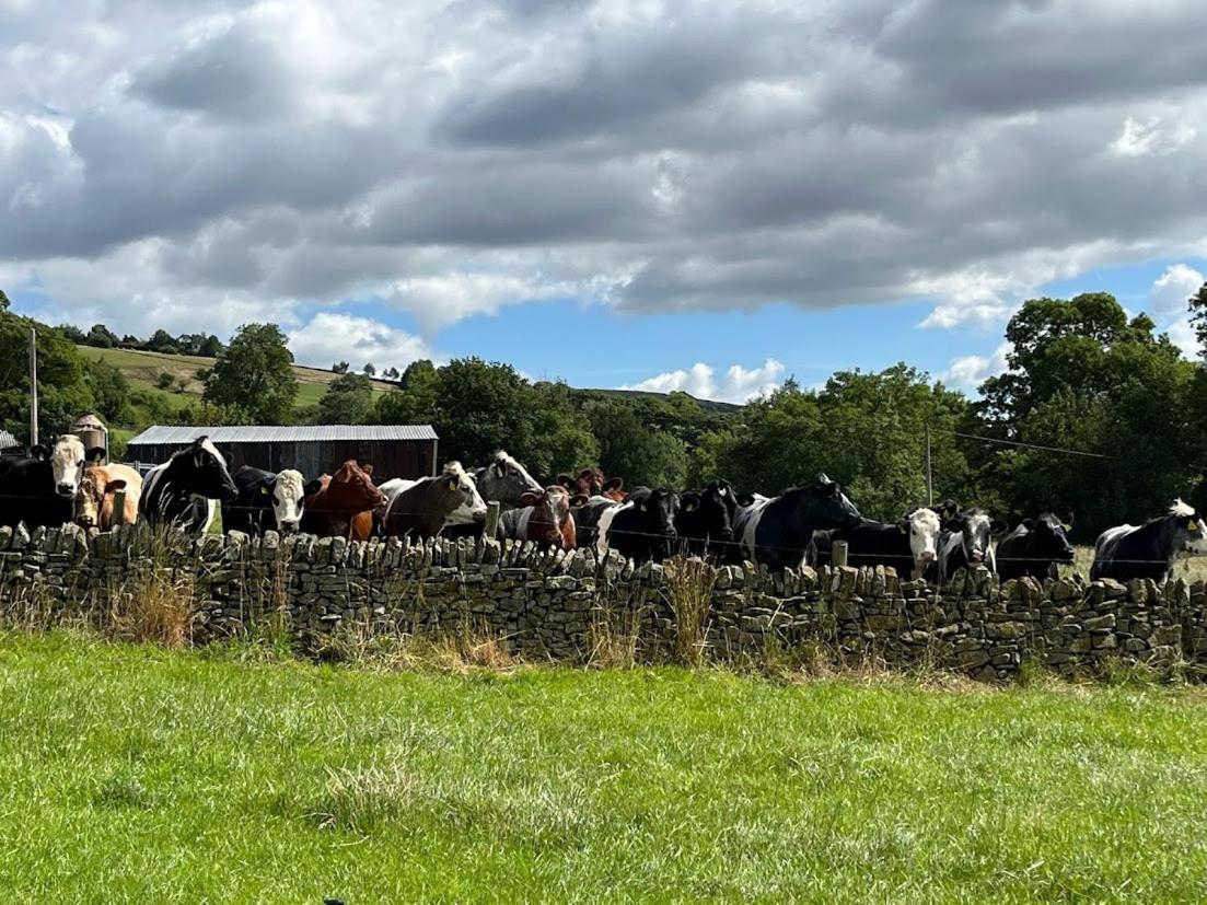 Riding House Farm Cottages Castleton  Exteriér fotografie