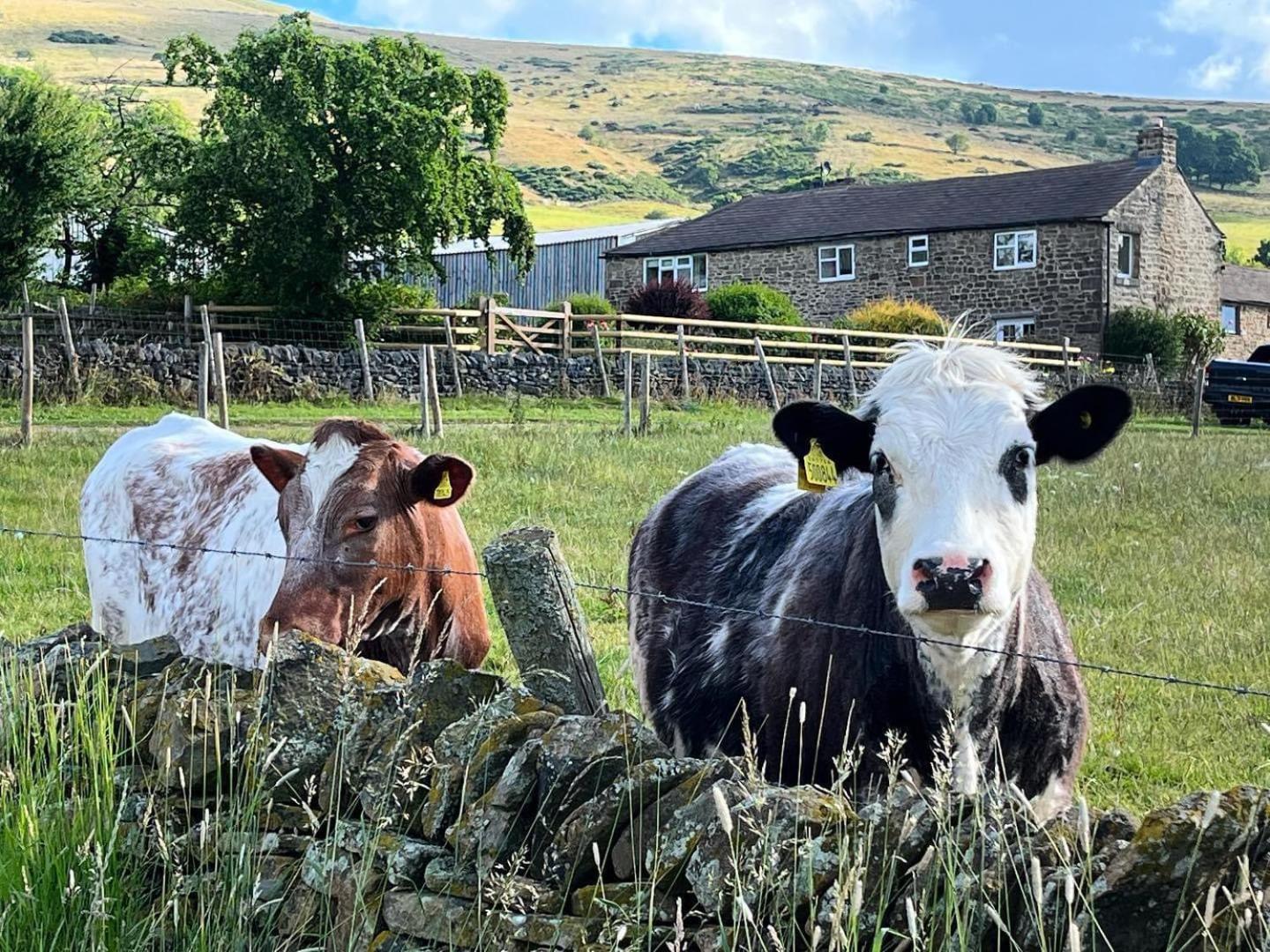 Riding House Farm Cottages Castleton  Exteriér fotografie